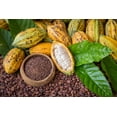 thumbnail image 7 of Organic Cacao Nibs, 8 Pounds — Non-GMO, Kosher, Raw, Vegan — by Food to Live, 7 of 7