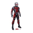 thumbnail image 1 of Advanced Graphics 2326 69 x 27 in. Ant-Man - Avengers Animated Cardboard Standup, 1 of 5