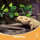 thumbnail image 3 of CHICHUMID 2Ud Trepadoras Artificiales Para Terrario De Reptiles Con Ventosas Para Hábitats Naturales, 3 of 8