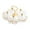 Clear 5 Bowls, variant on Luzkey Divided Serving Trays Decorative Snack Platters for Dessert Chip Cookies Orange 3 Bowls