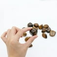 thumbnail image 2 of Nvzi 10 Packs of Tumbled Polished Natural Tiger's Eye Stones for Tumbling, Cabbing, Fountain Rocks, 2 of 5