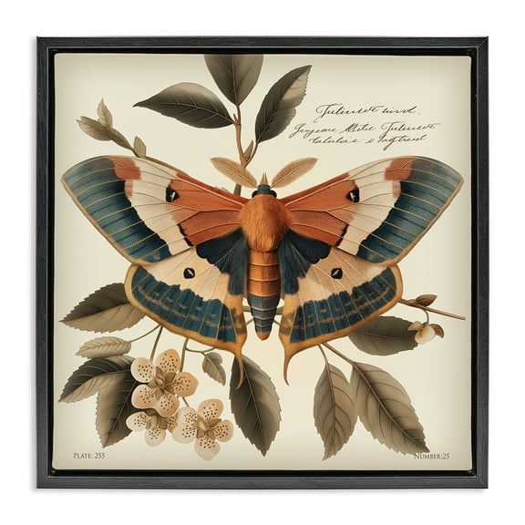 Stupell Industries Enchanting Moth & Plant Animals Painting Black Floater Framed Canvas Art Print Wall Art, 18 x 18