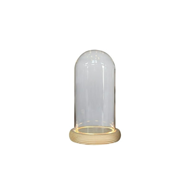 Toystoory de cúpula de cristal para Hotel, mesita de noche, jarrón de flores secas iluminadas, botella de exhibición, terrario con paisaje, tarro, Iluminación y accesorios 9x18cm Toystoory HA074928-04