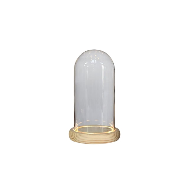 Yuarrent de cúpula de cristal para Hotel, mesita de noche, jarrón de flores secas iluminadas, botella de exhibición, terrario con paisaje, tarro, Iluminación y accesorios 9x18cm Yuarrent HA074928-04