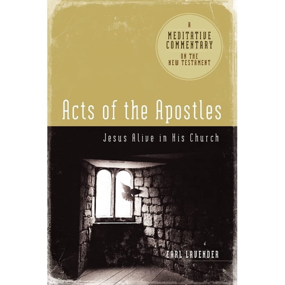 Pre-Owned Meditative Commentary - Acts of the Apostles (Meditative Commentaries)
