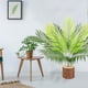 thumbnail image 4 of Helecho artificial para decoración de exteriores | Helechos falsos realistas con tallos flexibles | Helechos de plástico de 50 cm de alto para jardín, porche y jardinera | Incluye 2 helechos verdes, 4 of 8