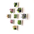 thumbnail image 4 of 3D Stereo Wall Hanging Simulation Plant Photo Frame Flower Frames Decoration, 4 of 7