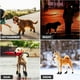thumbnail image 5 of Zapatos impermeables para perros, Protector suave de patas para pavimento caliente, suelas antideslizantes para senderismo y correr, botines de lluvia para perros al aire libre, 5 of 5