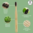 thumbnail image 4 of Cepillo de dientes Gaia Guy Soft Horse Bristle Bamboo, paquete de 6, 4 of 7