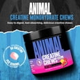 thumbnail image 2 of Animal Creatine Performance Chews - Fruit Punch - 120 Chewable Tablets, 2 of 6