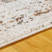 Ombre Medallion Area Rug Collection