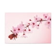 thumbnail image 2 of Single Cherry Blossom Forest Floral Nature Photography Canvas Wall Art for Home Decor Ready-to-Hang, 2 of 18