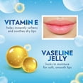 thumbnail image 6 of Vaseline Lip Original Single Moisturizing Balm with Petroleum & Vitamin E, 0.16 oz Pack of 1, 6 of 6