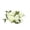 Beige, variant on DwellJoy Silk Rose Candle Wreath Ring for Wedding Table Decor, Valentine's Day Party Centerpiece, Realistic Floral Candle Holder Surround for Festive Ambiance