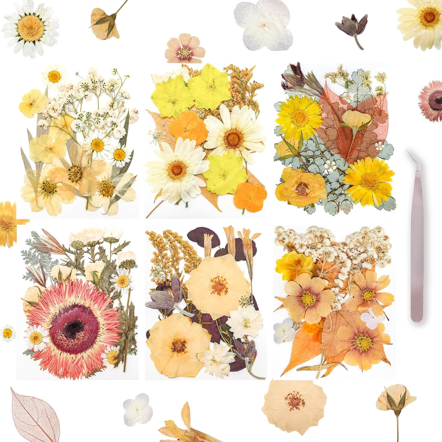 Dried Pressed Flowers Real Pressed Flowers Natural Dry Leaves Bulk Mixed Colorful Herbs Kit with Tweezers for Scrapbooking DIY Candle Jewelry Crafts Making Nails
