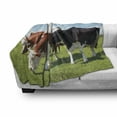 thumbnail image 3 of Cattle Soft Flannel Fleece Throw Blanket, Various Colored Herd of Cows Grazing on Pasture Nature Themed Digital Image Print, Cozy Plush for Indoor and Outdoor Use, 50" x 70", Multicolor, by Ambesonne, 3 of 6