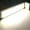 C, variant on Kiplyki New 12V-24V 1000LM 10W COB LED Strip Light High Power Lamp Chip Warm/Cool White