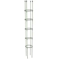 thumbnail image 3 of Plant Support Garden Conical Glass Fiber Sturdy And Strong Economical Durable Attached Plastic Cherry Tomatoes Piles, 3 of 21