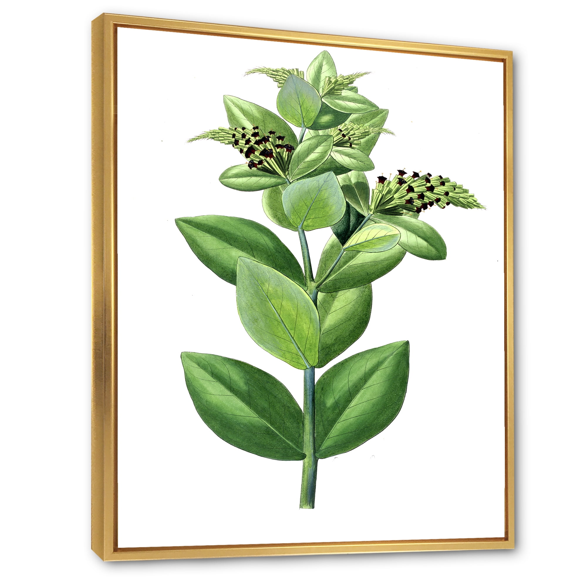 Designart 'Ancient Green Leaves Plants VI' Traditional Framed Canvas Wall Art Print