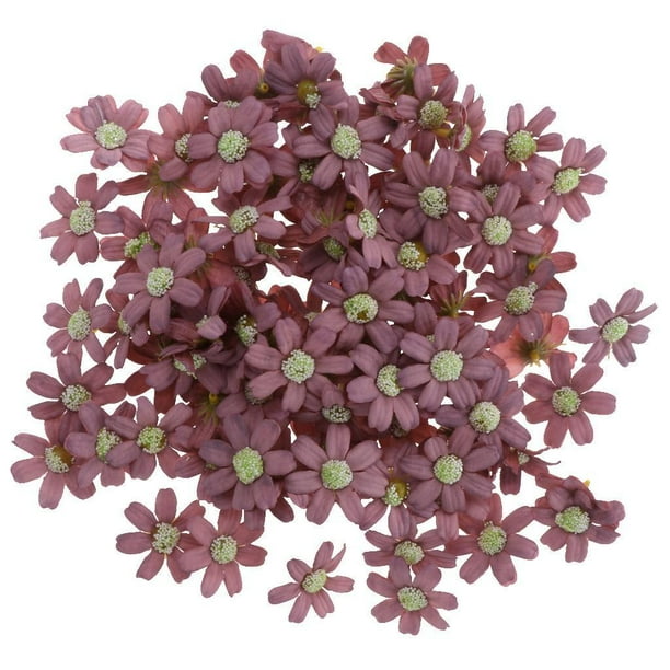 100 Unidades Cabezas de Flores Artificiales Decoración de Rojo oscuro