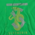 thumbnail image 2 of Harry Potter Slytherin By Any Means Adult Pull-Over Hoodie, Kelly Green, 2X-Large, 2 of 5