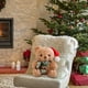 thumbnail image 5 of Juguetes de piscina, juguetes para bebés, juguetes para niños pequeños, osito de peluche navideño, regalo de cumpleaños para niños, compañero y muñeco de peluche., 5 of 6