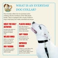 thumbnail image 3 of Country Brook Petz® Everyday Black Dog Collar, Large, 3 of 4