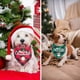 thumbnail image 4 of Paquete de 2 pañuelos para perros, bufanda clásica navideña a cuadros para mascotas, baberos triangulares, pañuelo, Feliz Navidad, Papá Noel, estampado de muñeco de nieve (grande, rojo y verde), 4 of 5