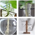 thumbnail image 1 of weibbin Hydroponic Planter Vase Stand Glass Terrarium, Wooden Frame for Home Decor, 1 of 6