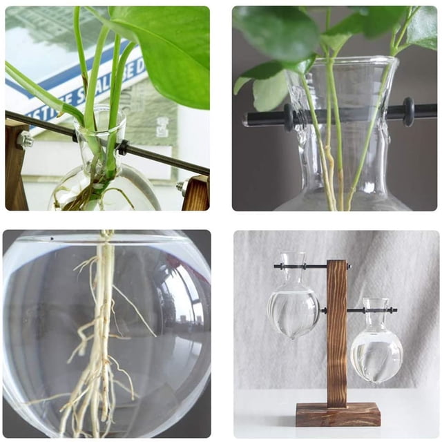 weibbin Hydroponic Planter Vase Stand Glass Terrarium, Wooden Frame for Home Decor