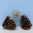 thumbnail image 4 of Set of Six Ceramic Decade cabinet Knobs, 4 of 8
