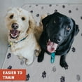 thumbnail image 5 of Hitime Waterproof Reusable Pets Training Pads Washable Pee Pads for Dogs with Leakproof Bottom, Puppy Pads for Potty Training (2 Pack, 18"x24"), 5 of 6
