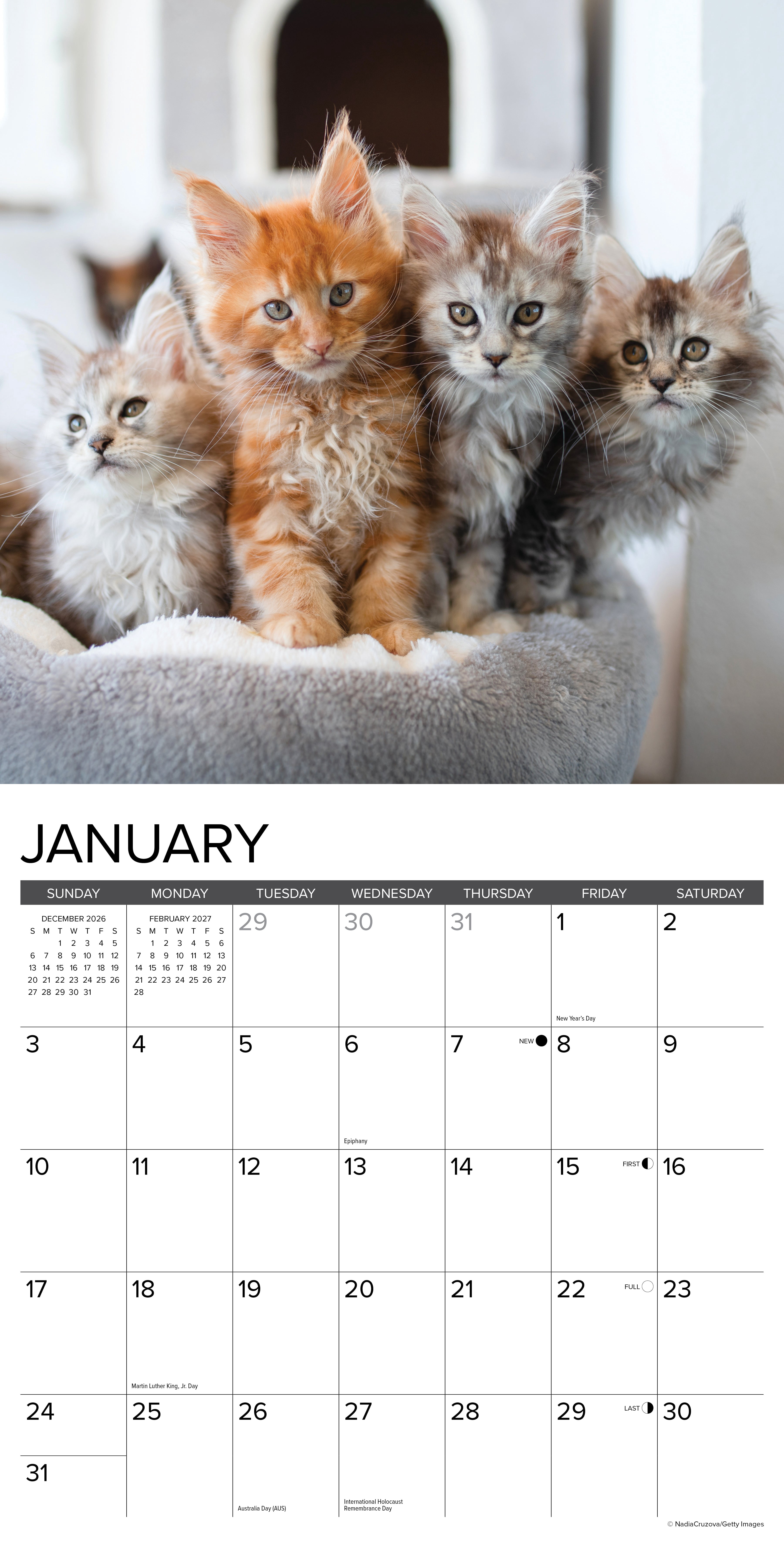 Willow Creek Press, Maine Coon Kittens 2027 Wall Calendar