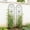 Black, variant on Garden Trellis for Climbing Plants, 86.7" Tall Outdoor Trellis, Heavy Duty Rustproof Metal Vine Trellis for Raised Garden Beds, Cucumber Tomato Bean Pea Grape Rose Support,Black,2 Packs