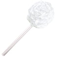 thumbnail image 1 of Self Watering Spike Creative Glass Drip Irrigation Plant Waterer Plant Spike, 1 of 6
