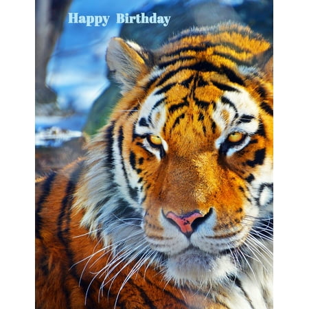 Happy Birthday : Notebook, Journal, Diary, 365 Lined Pages, Tiger Themed Birthday Gifts for Animal Lovers, Boys or Girls, Kids, Teens, Women or Men, Mom or Dad, Grandma or Grandpa, Husband or Wife, Girlfriend or Boyfriend, Best Friend, Co-Worker, Book Size 8 1/2 X (Boys Make The Best Girlfriends)