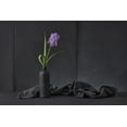 thumbnail image 2 of Verot, Christophe 32x23 Gold Ornate Wood Framed with Double Matting Museum Art Print Titled - Iris Pallida, 2 of 4