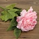 110pcs Soie Fleur de Pivoine Artificielle Bouquet Bricolage Maison Mariage Fête Artisanat Décor – image 1 sur 6