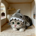 thumbnail image 3 of Stylish Design Cat Hat Novelty Headwear For And Small Dogs For Parties Photos, 3 of 5