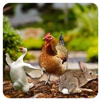 ICERUN 3Pcs Garden Statues,Acrylic Hen,Gray Rabbit,and White Goose Sculpture Lawn Ornaments,Hair Texture Rooster Garden Sculptures,Style2