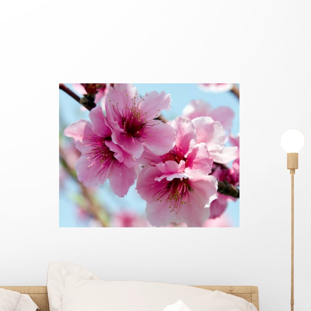 Peach Blossoms Wall Mural Decal Sticker, Wallmonkeys Peel & Stick Vinyl Graphic (18 in W x 14 in
