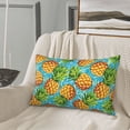 thumbnail image 4 of Plush Throw Pillow Covers, Pineapple Hawaiian Style Pillow Cases with Invisible Zipper, Breathable Microfiber Pillow Cases Standard Size for Sleeping Bedroom Sofa Living Room 16x24, 4 of 5