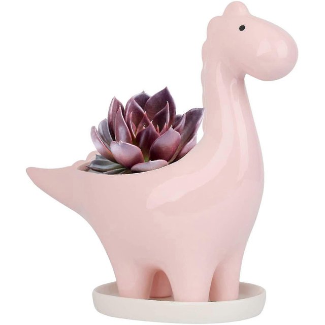 Beautiful Gift Ceramic Succulent Pot With Saucer, Dinosaur Shape Cactus Flower Pot, Mini Indoor Plant Pot Gift Deco