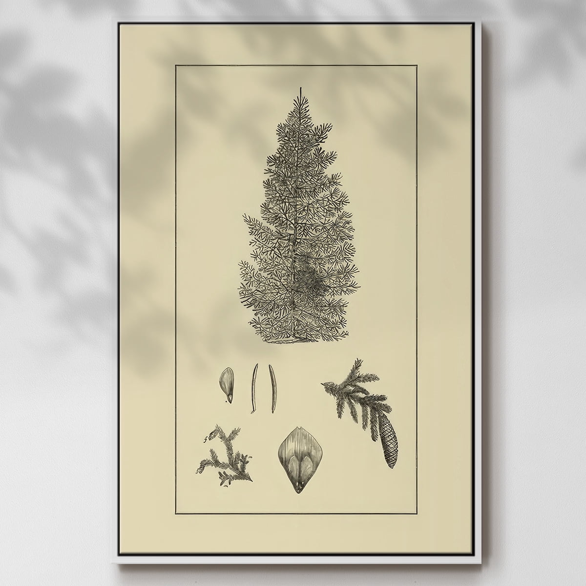 Arbor Study I - Framed Gallery Wrapped Holiday Canvas - 17 x 25 - White Frame