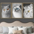 thumbnail image 3 of wall26 3 Panel Framed Canvas Wall Art - Cute Cats Partially Colored Eyes - Giclee Print Gallery Wrap Modern Home Art Ready to Hang - 16"x24"x3 Natural, 3 of 5