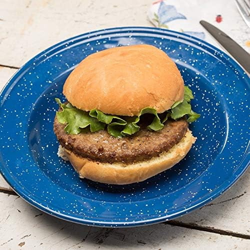 Military Surplus Freeze Dried Hamburger Ground Beef Patties #10 Can-1 Can