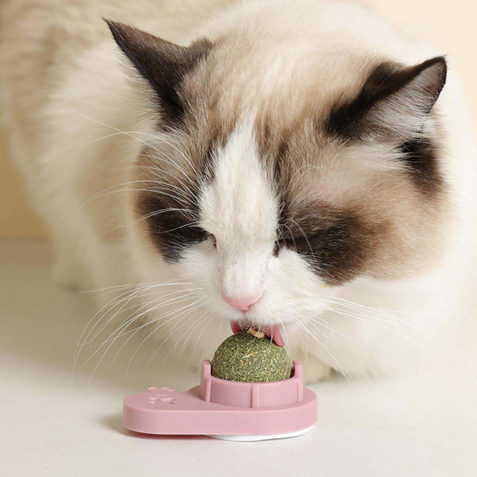 rotating cat mint ball