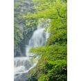 thumbnail image 2 of OBrien, Jay 23x32 White Modern Wood Framed Museum Art Print Titled - PA, Dingmans Ferry, Dingmans Ferry Falls, 2 of 4
