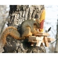 thumbnail image 5 of Picnic Table Ear Corn Squirrel Feeder, 5 of 6