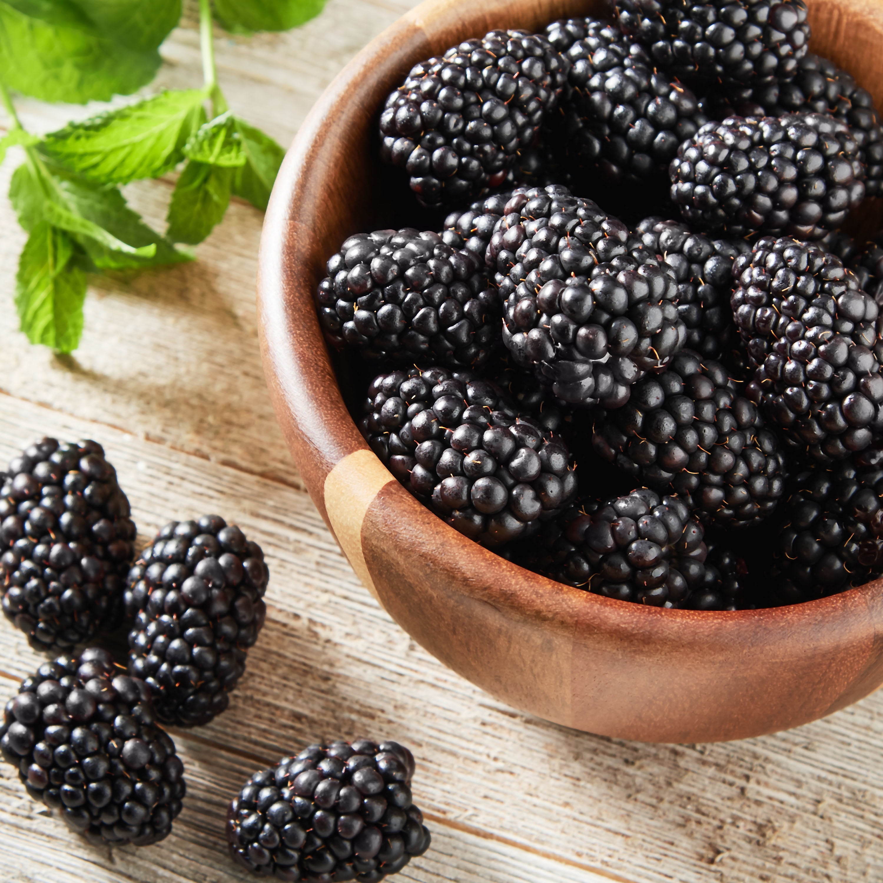 Fresh Organic Blackberries, 6 oz Container